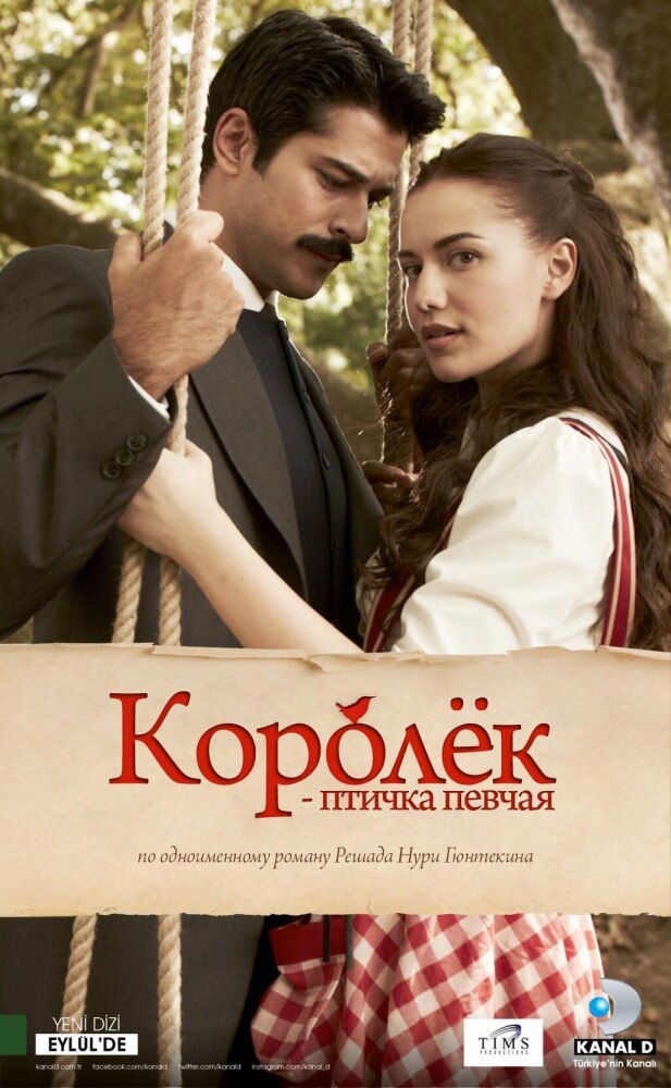 Постер турецкого сериала Королек – птичка певчая (2013 - 2014)